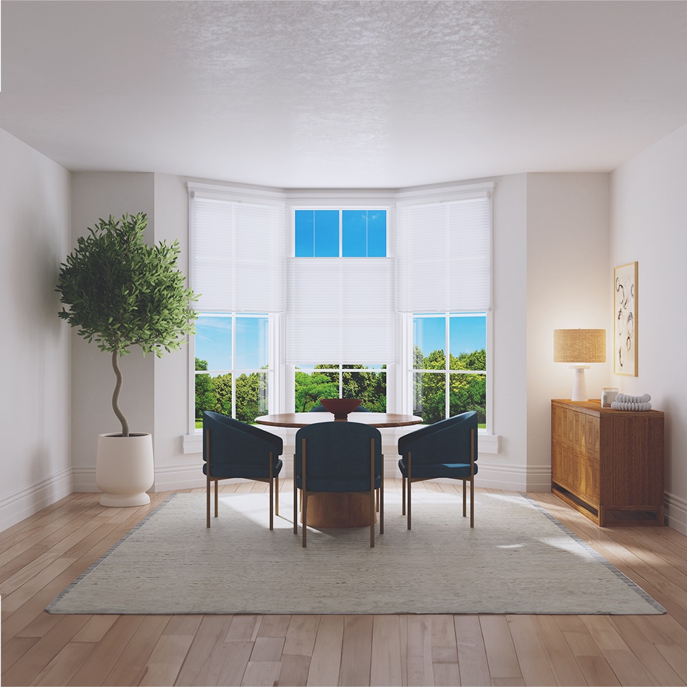 Budget Cordless Light Filtering Cellular Shades